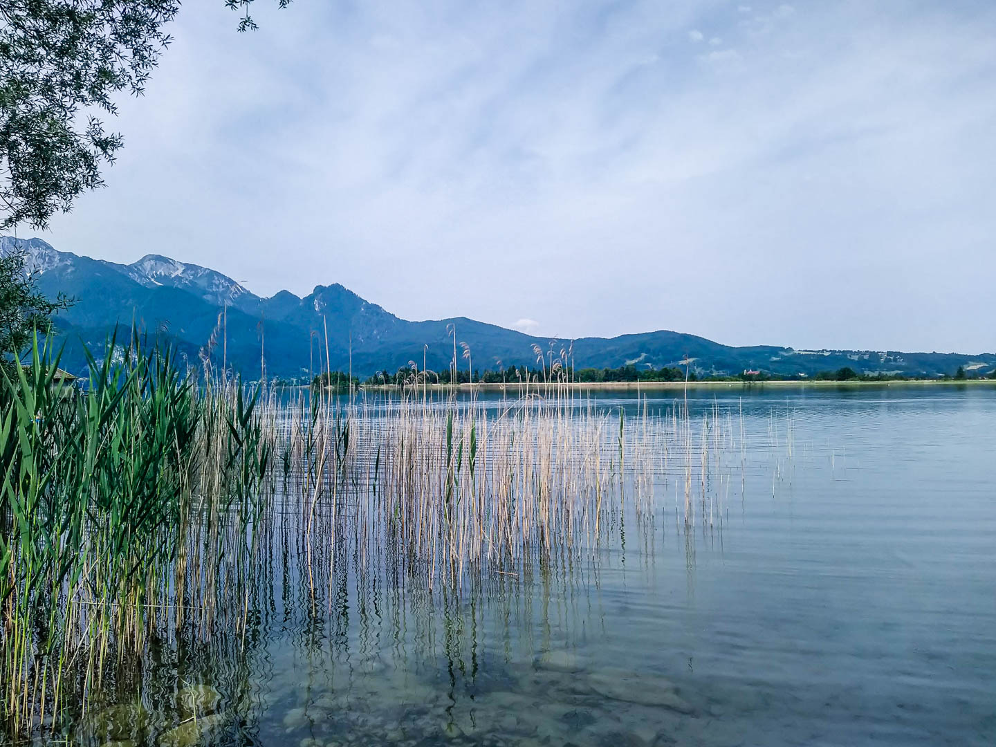 Kajaktour Kochselsee 19.06.2021